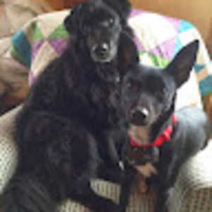 Meet your Posher, Deborah